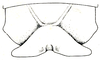 Inscudderia taxodii Caudell, 1921: Pl. XI, Fig. 6. male, last abdominal tergite, dorsal view. (Otu).