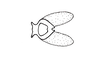 Baeacris talamancensis Rowell & Carbonell, 1977: FIg. 18. arch with valves, dorsal view. (Otu).