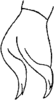 Anal tube processes on Empoascanara (Empoascanara) dravidana Dworakowska, 1980: Anal tube. (Observation).