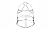 Boliviacris aberrans (Ronderos, 1979): Fig. 11. male head and pronotum, dorsal view. (Otu).