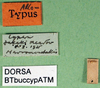 CollectionObject 1576345; b203f00d-a792-4bcb-a266-9ee287286858: labels. (CollectionObject).