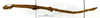 CollectionObject 1559015; cae173d8-86aa-4ff3-bfb3-cd66274cf657: copyright MNHN, Paris. male, lateral view of synonym Bacteria foliacea (holotype). (CollectionObject).
