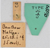 CollectionObject 1618770; 3f412d49-d3a4-48ad-a37e-261bf023fef2: (CollectionObject).