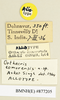 CollectionObject 1571001; 7d76efb5-993c-4226-a6c5-a178af698431: female, labels (allotype). (CollectionObject).
