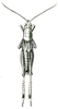 Chlorizeina unicolor unicolor Brunner von Wattenwyl, 1893: Pl. V, Fig. 51 a. male, dorsal view. (Otu).
