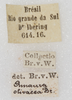 labels. Depicts CollectionObject 1564321; f2007ed2-dfd1-418e-a78c-c14ee5cf2840, a CollectionObject.