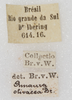 CollectionObject 1564321; f2007ed2-dfd1-418e-a78c-c14ee5cf2840: labels. (CollectionObject).