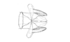 Jivarus alienus (Walker, 1870): Fig. 45. aedeagus, dorsal view. (Otu).