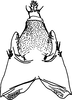 Pygofer, dorsal view on Discolopeus diacaenus Stiller, 2019: Pygofer, dorsal view. (Observation).