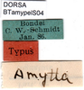 CollectionObject 1502099; 86f67774-41f7-4e57-a0c6-191def92941e: labels (syntype). (CollectionObject).