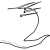 Pygofer appendages on Drabescus pallidus Matsumura, 1912: Pygofer appendages. (Observation).