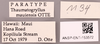 CollectionObject 1967352; 70c52027-8097-4d33-b599-5bc0d00a4f78: Female, labels (paratype). (CollectionObject).