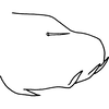 Pygofer, lateral view on Drabescoides nuchalis (Jacobi, 1943): Pygofer, lateral view. (Observation).