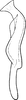 Stylus: !! display not done !! on Zyginidia scutellaris (Herrich-Schäffer, 1838): Stylus. (Observation).