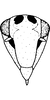 Head on Eupteryx (Eupteryx) austriaca (Metcalf, 1968): Face (male). (Observation).