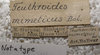 CollectionObject 1506494; 4972da6d-405d-4a95-b028-cce80fef04ad: labels. (CollectionObject).