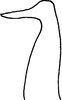 Stylus on Falcitettix (Falcitettix) guttiger (Kusnezov, 1929): as Mocuellus minor. (Observation).