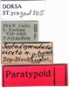 CollectionObject 1530838; 0c348f30-996d-4011-8975-5b52b77db849: labels (paratype). (CollectionObject).