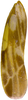 Forewing on Arboridia (Arboridia) koreana Oh & Jung, 2015 now Arboridia (Arboridia) agrillacea (Anufriev, 1969): Forewing. (Observation).