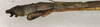 CollectionObject 1559673; NMW 1006, 6feef2a5-5973-4143-a45c-8ba0f6c00263: copyright NMW, Vienna. male: end of abdomen, lateral view (holotype). (CollectionObject).