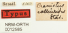 CollectionObject 1529940; f38571e0-c16a-4c04-9cbe-e3e5c95e6a93: labels (holotype). (CollectionObject).