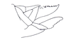 Scirtopaon dorsatus Descamps & Rowell, 1984: Fig. 22. female, end of abdomen, lateral view. (Otu).