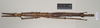 CollectionObject 1563489; NHMUK(SF IMPORT DUPLICATE) 845018, b77f256c-c908-4a52-b61b-a77a1be829c6: copyright natural History Museum, London. female (holotype). (CollectionObject).