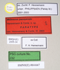 CollectionObject 1562906; 7c1a79dd-1533-4c80-b7c0-b10fd6b42064: copyright Natural History Museum, London. female, data labels (paratype). (CollectionObject).;CollectionObject 1562907; 5c2e562d-bb7a-40c9-9f68-656fff8c26e2: copyright Natural History Museum, London. female, data labels (paratype). (CollectionObject).