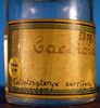 CollectionObject 1502910; 92b7cd0a-3f78-4181-897e-146d2ff94273: specimen vial (paratype). (CollectionObject).