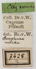 CollectionObject 1552410; NMW 7428, e5ac5f2f-9d86-49d8-a27b-69c1f0060cb4: labels. (CollectionObject).