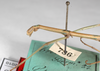 CollectionObject 1561029; 85079ec9-d42b-4414-874f-ac4ebf77f9f1: copyright ZMHB, Berlin. male: head & thorax, lateral view (syntype). (CollectionObject).