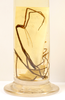 CollectionObject 1558996; 23547695-4904-470f-9954-8177fc9b0e11: copyright MNHN, Paris. male (syntype). (CollectionObject).;CollectionObject 1558997; 7c170d9e-8691-41a3-8e1f-ccbe90aaa394: copyright MNHN, Paris. male (syntype). (CollectionObject).