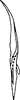 Stylus on Dworakowskaia hainanensis Chou & Zhang, 1985: Stylus. (Observation).