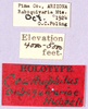 CollectionObject 1499246; aa7880d6-c7d6-4b7c-9775-3878c7a0dcc0: labels (holotype). (CollectionObject).