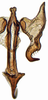Connective: Paralimnus angusticeps, connective, stylus, and aedeagus, ventrally (INHS). (Observation).