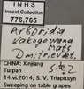 Other on Arboridia (Arboridia) kakogawana (Matsumura, 1932): Labels. (Observation).