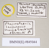CollectionObject 1561108; bb085ae2-a64c-4e07-b1ad-b9e497c225c9: copyright Natural History Museum, London. male, data labels (paratype). (CollectionObject).;CollectionObject 1561109; 567f5c8d-8803-402e-86cd-e62a71379f1a: copyright Natural History Museum, London. male, data labels (paratype). (CollectionObject).