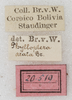 CollectionObject 1566569; NMW 20519, 002aa8f1-740e-413e-9bdd-04549842002e: labels. (CollectionObject).