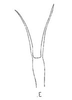 Aedeagus, ventral view: !! display not done !! on Bahita Oman, 1938: Aedeagus, ventral view. (Observation).