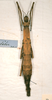 CollectionObject 1558435; a9530ca9-c734-450a-8791-709901d2e16b: copyright SMTD, Dresden. female of synonym Dimorphodes glaber (holotype). (CollectionObject).