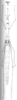 Anchotatus peruvianus Brunner von Wattenwyl, 1890: Pl. 5, Fig. 8 A [left margin slightly distorted]. female, dorsal view (body length 75-85 mm, pronotum 14-16 mm, hind femur 22.5-26 mm). (Otu).