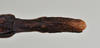 CollectionObject 1561664; NTUC 709, de4ff78e-e94d-4e85-8b94-37b567dfe607: copyright NTUC. female: end of abdomen, ventral view (holotype). (CollectionObject).
