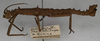 CollectionObject 1561570; NMW 47, ad15a001-7fc3-4a48-8ca8-876a076c4f48: copyright NMW. male, lateral view (lectotype). (CollectionObject).