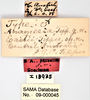 CollectionObject 1863292; 108f81d4-4823-4a75-be86-f406e602e379: (CollectionObject).