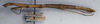 CollectionObject 1561803; NMW 374, bca4ed78-89a7-4317-bc99-35ee6daee869: copyright NMW, Vienna. female, lateral view (syntype). (CollectionObject).