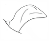 Brownacris karruensis Brown, 1972: Fig. 24. male left cercus, lateral view. (Otu).