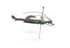 CollectionObject 1599765; MNCR 3,878,725, a1b438dd-f78e-4145-a57b-c54f1ed0d462: copyright MNCR. male, lateral view (paratype). (CollectionObject).