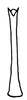 Aedeagus, posterior view on Polana (Culumana) parvula (DeLong, 1984) now Polana (Culumana) parvula (DeLong, 1984): Male: aedeagus, posterior view. (Observation).