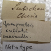 CollectionObject 1506514; 2b030b82-4b84-4c77-89f1-ae93e664e327: labels. (CollectionObject).