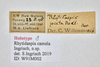 CollectionObject 1587976; c606a153-50be-4f57-9fdb-853a75123696: labels. (CollectionObject).